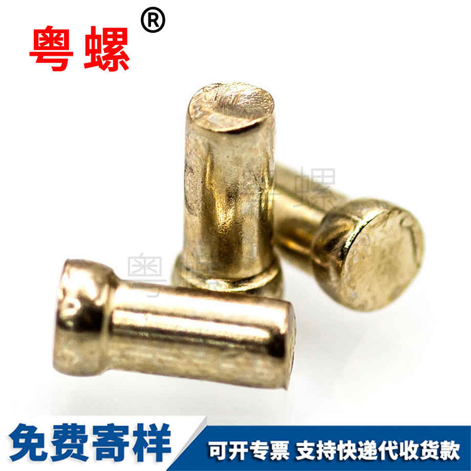 黃銅平頭銷軸螺栓 黃銅平頭銷軸螺栓