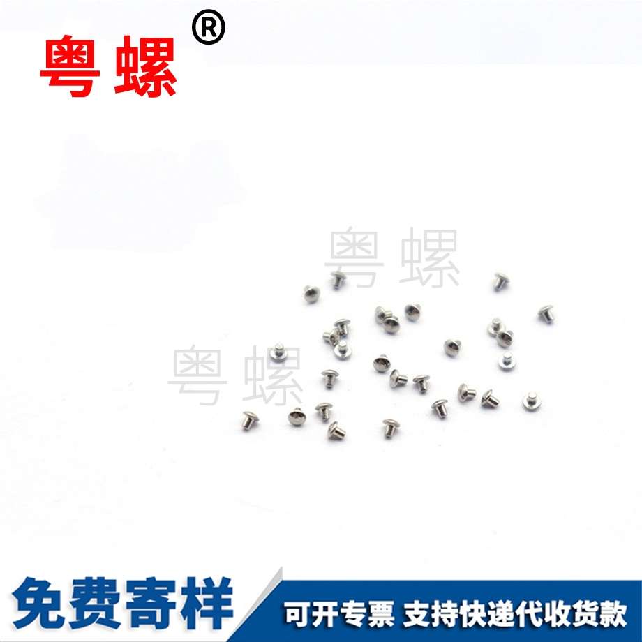 非標儀器螺絲M2 非標儀器螺絲M2