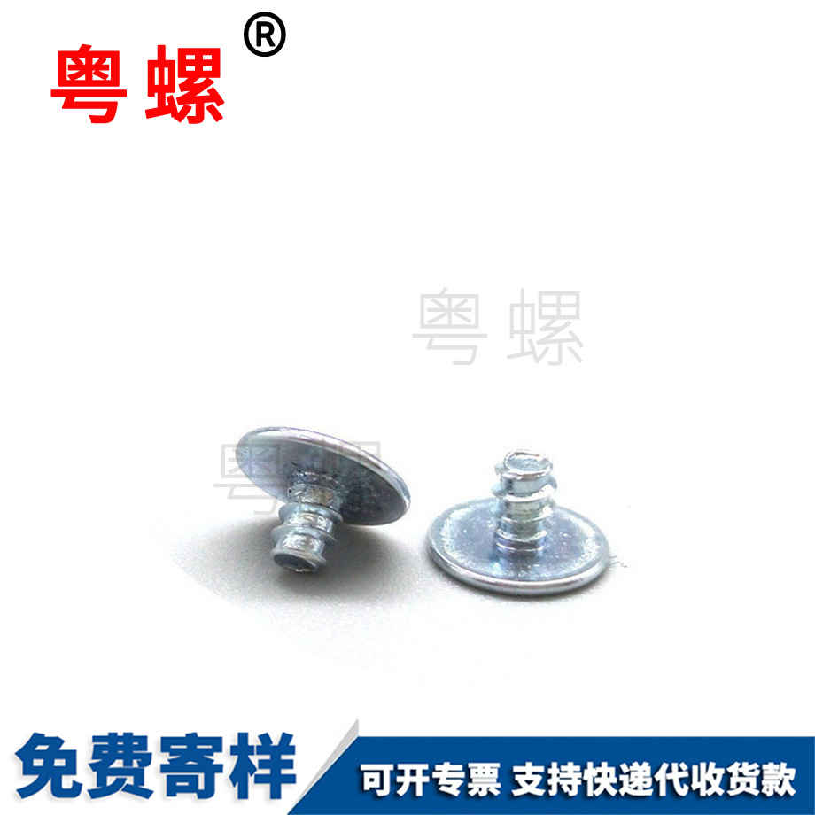 豐臺非標(biāo)豐臺電子螺絲 豐臺非標(biāo)豐臺電子螺絲