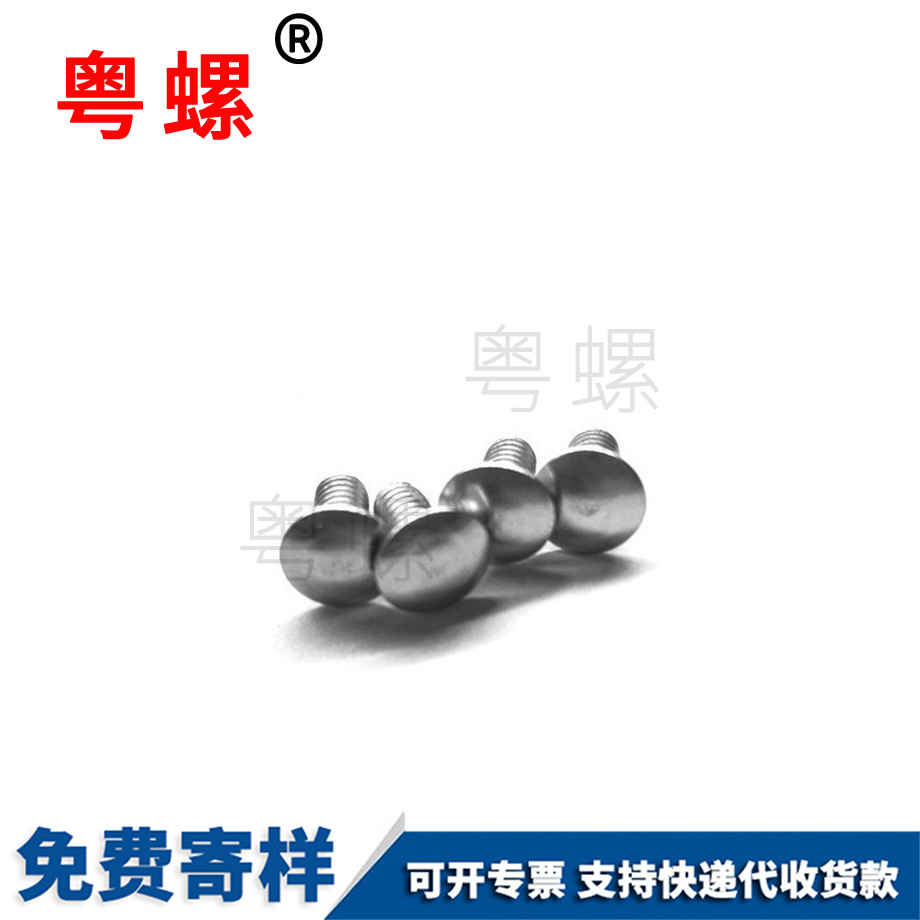 西雙版納非標(biāo)螺絲 西雙版納非標(biāo)螺絲