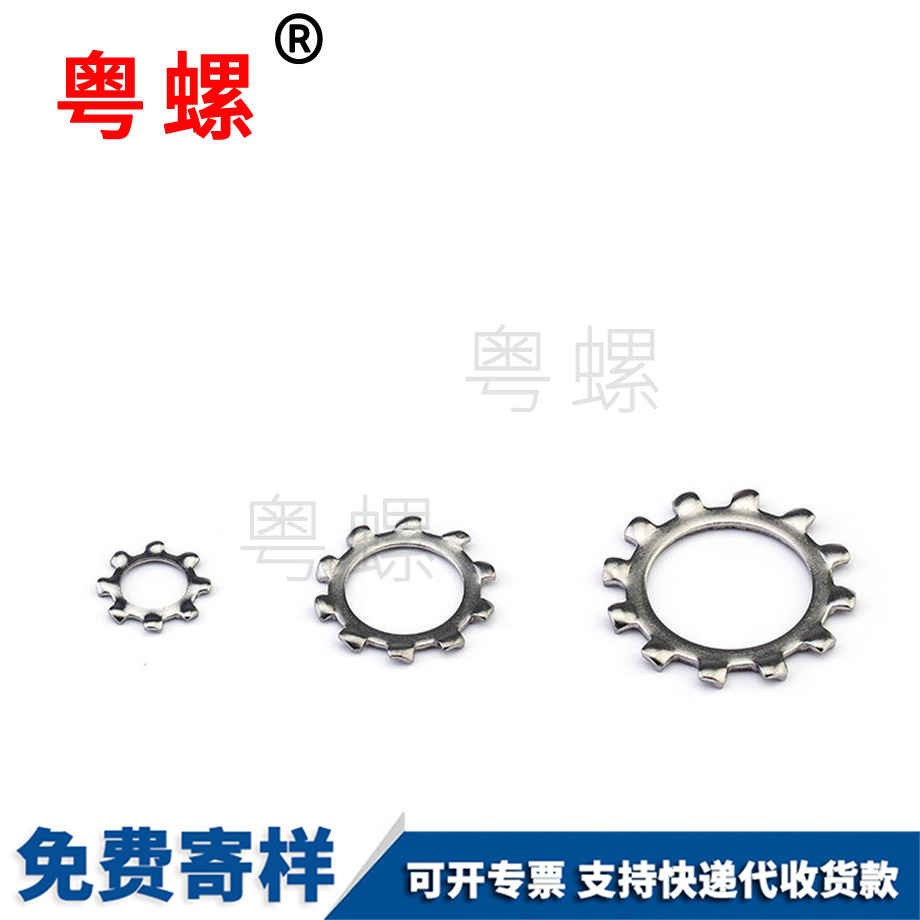 秦皇島鎖緊墊圈