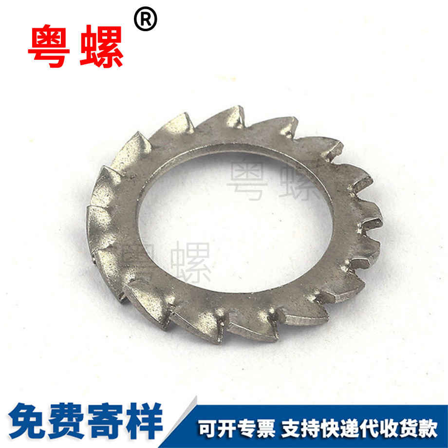 秦皇島鎖緊秦皇島墊片