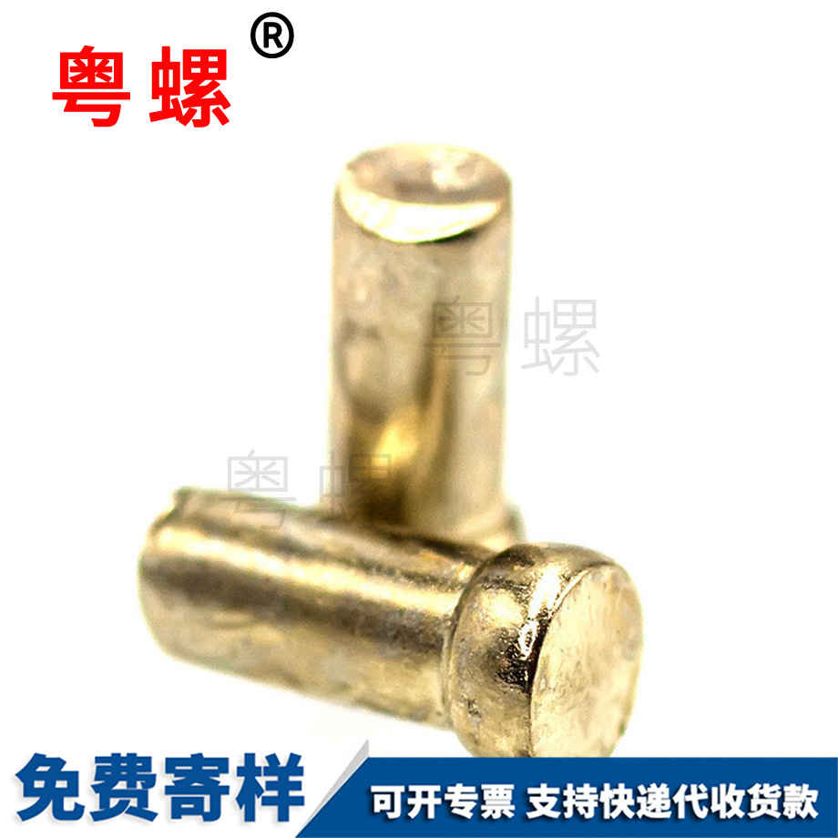 豐臺(tái)黃銅平頭銷軸螺栓