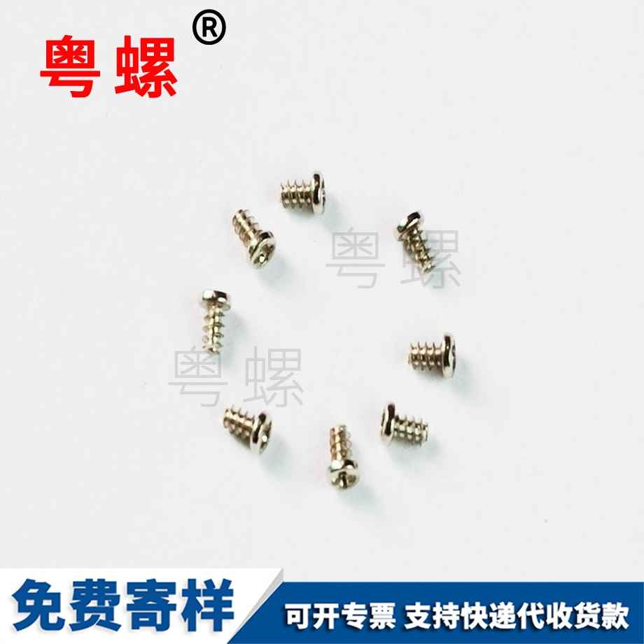 塑膠表殼底蓋豐臺不銹鋼螺絲