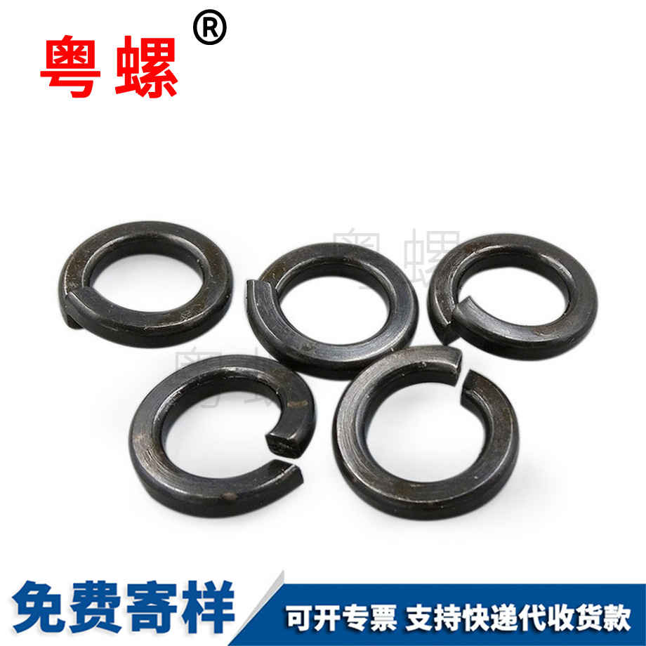 西雙版納彈墊圈