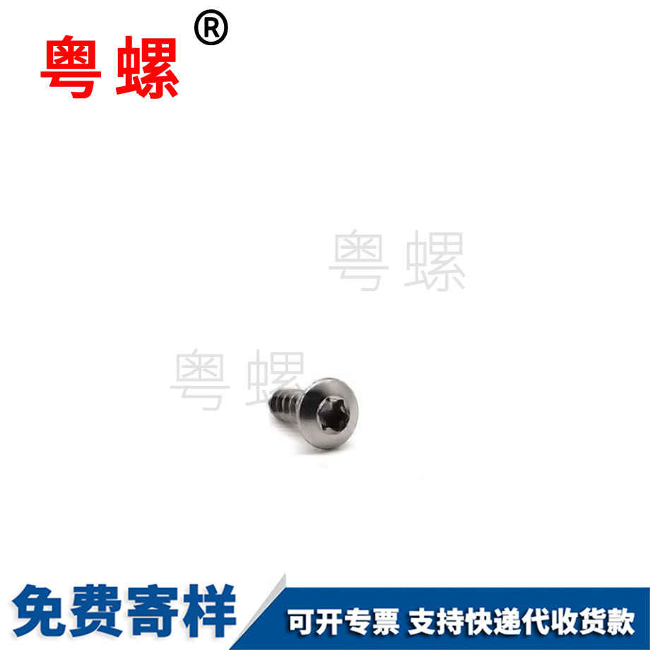 定制梅花穴江北自攻螺釘