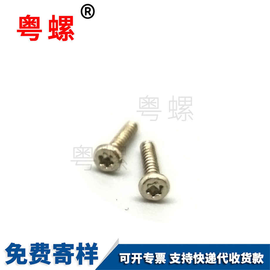 加工非標(biāo)電子迪慶小螺絲