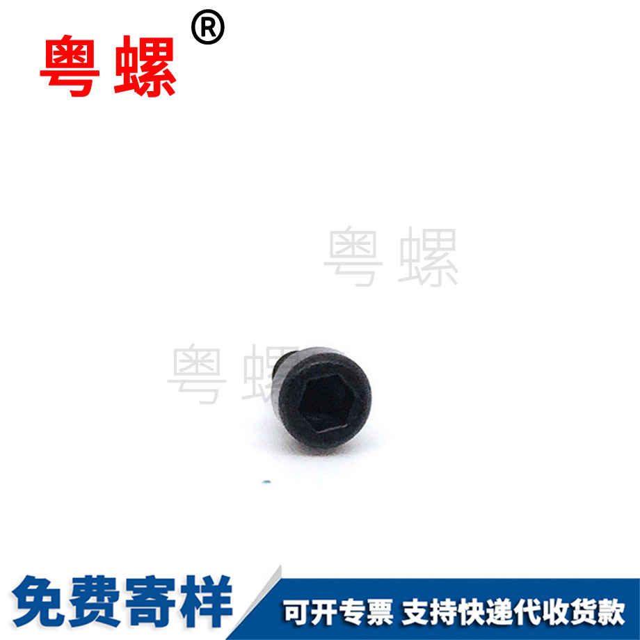 生產(chǎn)杯頭梅花楚雄自攻螺絲