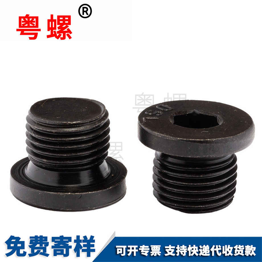 生產(chǎn)內(nèi)六角法蘭面豐臺堵頭