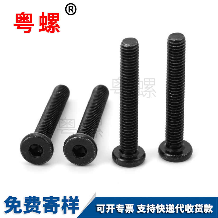 秦皇島內(nèi)六角秦皇島平頭螺絲 秦皇島內(nèi)六角秦皇島平頭螺絲