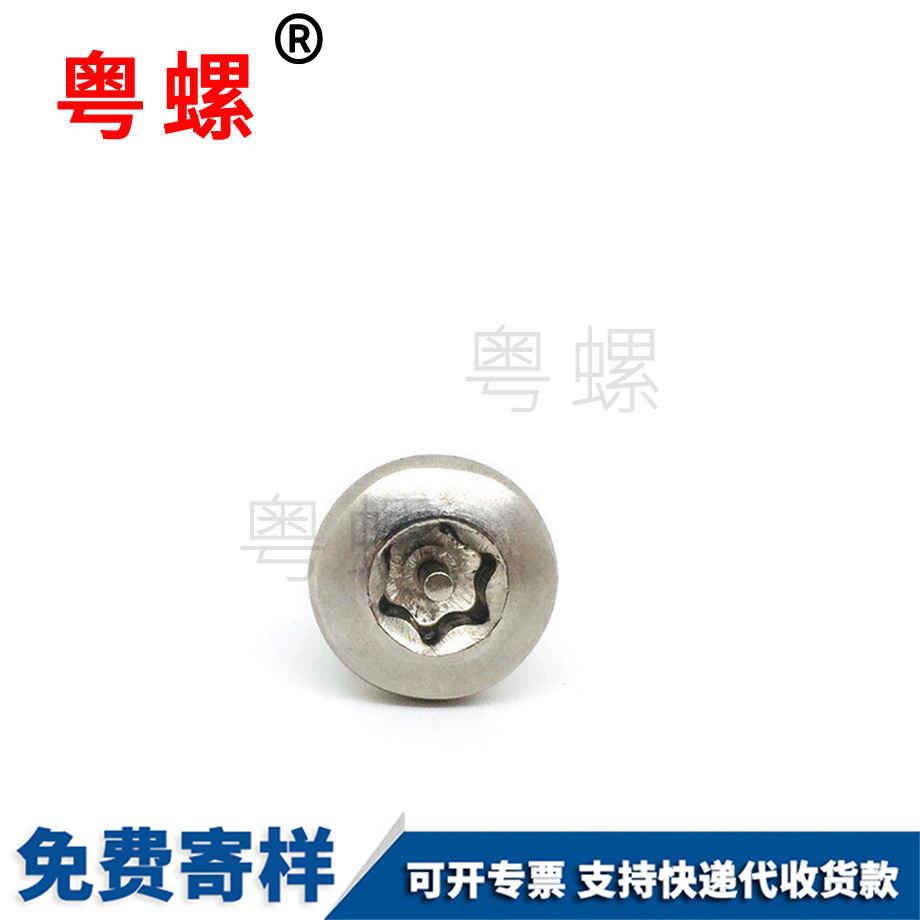 迪慶不銹鋼304迪慶防盜螺絲 迪慶不銹鋼304迪慶防盜螺絲