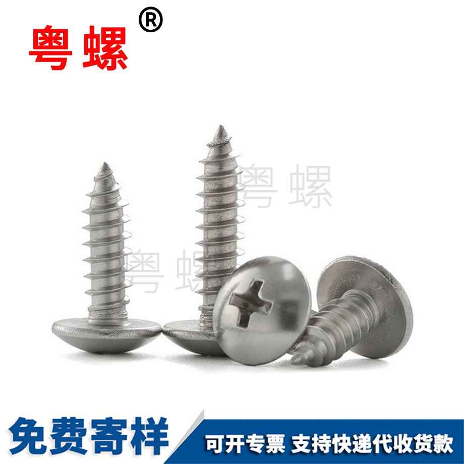 西雙版納長木螺釘