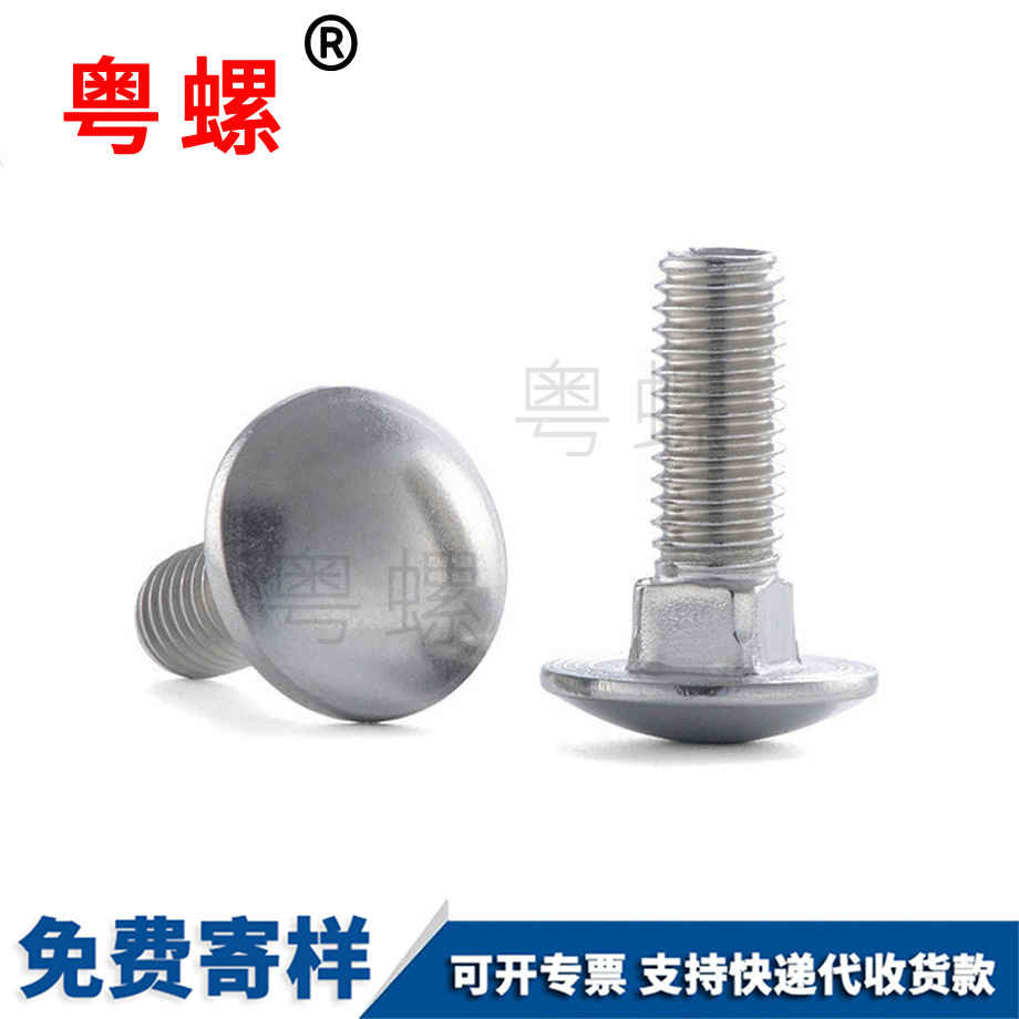 西雙版納大頭西雙版納馬車螺絲