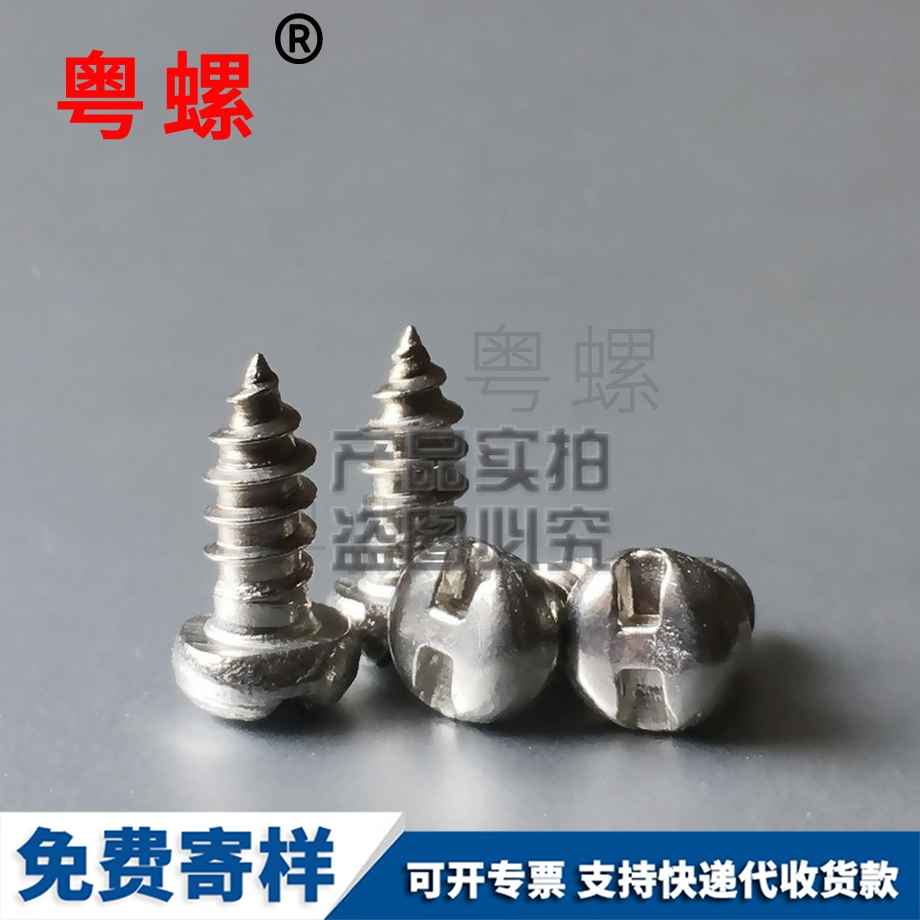 H槽盤頭西雙版納自攻釘